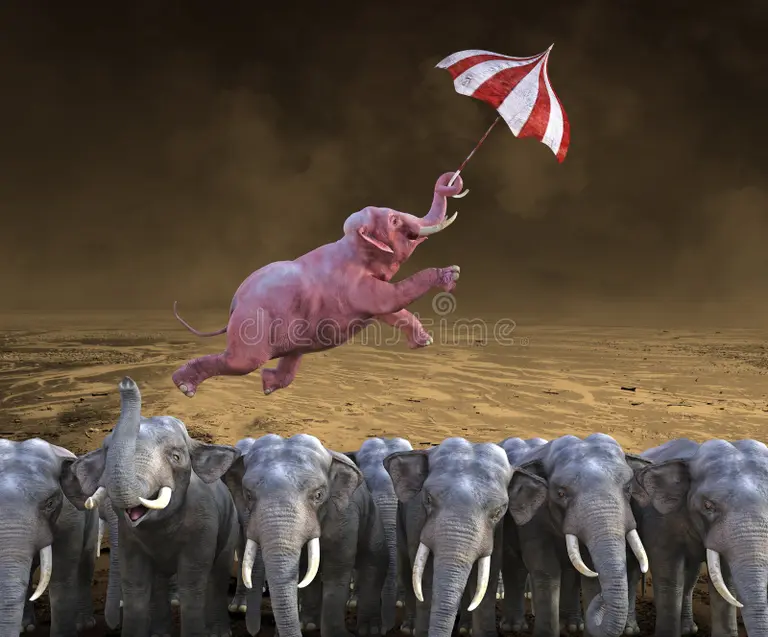 Bugetul începutului de an